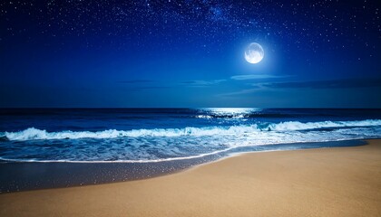 Beach at night under moonlit sky