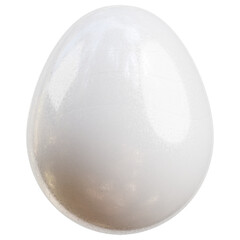 White Egg 3D Illustration 