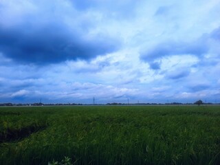 green field and dramatic blue sky clouds