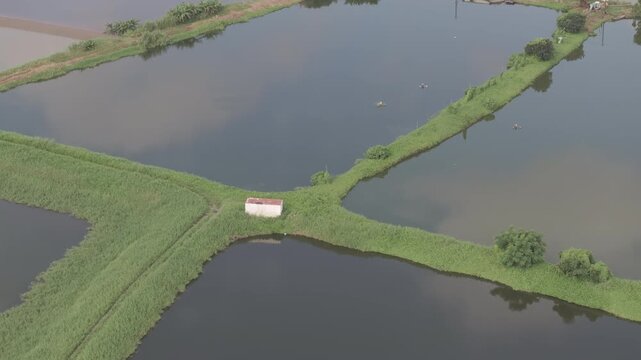 Tai Sang Wai Fish Ponds.