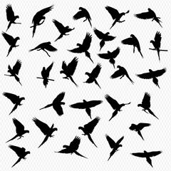A collection of black silhouette images depicting various parrots in flight, showcasing different wing positions and body postures against a white background. © Adji