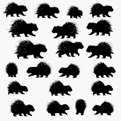 A collection of silhouette illustrations depicting porcupines in various poses, including walking, standing, and facing forward.