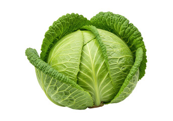 Obraz premium Fresh green cabbage with vibrant leaves, isolated on white background, perfect for culinary use