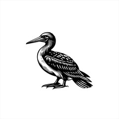 Obraz premium Black and White Illustration of a Cormorant Bird.