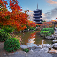 Toji Temple in Kyoto, Japan with beautiful garden and autumn foliage