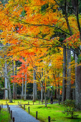 Fototapeta premium Sanzen-in temple with a colorful autumn garden in Ohara, northern Kyoto