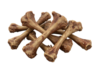 A pile of natural dog bones arranged artistically on a clean background