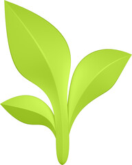 3d render of green plant leaves close up with details on a transparent isolated background