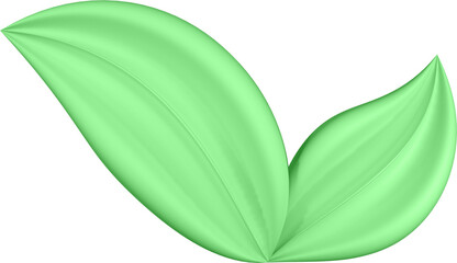 3d render of green plant leaves close up with details on a transparent isolated background