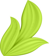 3d render of green plant leaves close up with details on a transparent isolated background