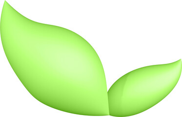 3d render of green plant leaves close up with details on a transparent isolated background