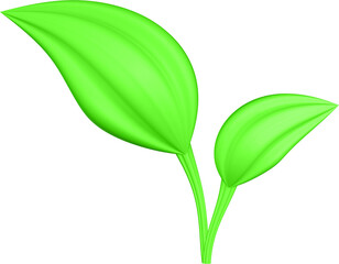 3d render of green plant leaves close up with details on a transparent isolated background