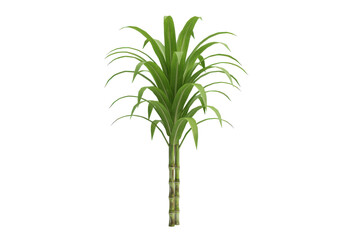 Fototapeta premium Lush green tropical plant with vibrant leaves standing against a plain background