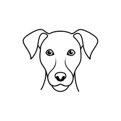 Fototapeta premium portrait of a dog