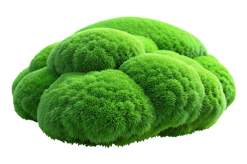 Bright green textured alien plant or fungus isolated on transparent background