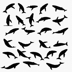 A collection of black silhouette illustrations depicting various whale species in different poses, swimming and diving. © Adji