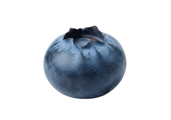Close-up of a single, ripe blueberry showcasing its texture against a plain background