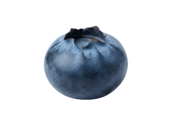 Close-up of a single, ripe blueberry showcasing its texture against a plain background