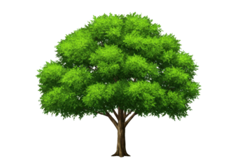 Lush green tree with a full canopy, set against a clear blue sky, ideal for nature themes