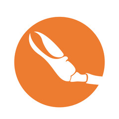 Shrimp logo icon design