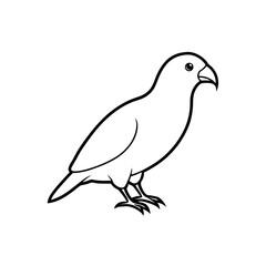 Obraz premium kea parrot new zealand .svg