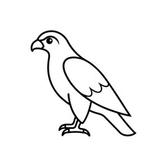 Fototapeta premium red tailed hawk .svg