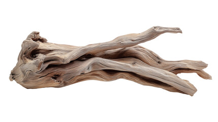 Driftwood. isolated object, white background