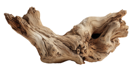 Driftwood. isolated object, white background