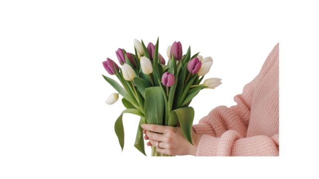 Woman's Hands Holding a Bouquet of Purple and White Tulips