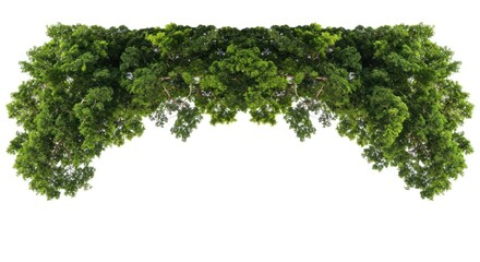 Green foliage arch design