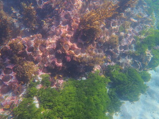 Sea Floor