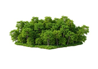 Green forest cluster illustration