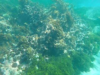 Sea Floor