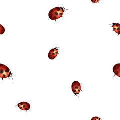 Seamless pattern with small red ladybugs on white background. Watercolor illustration