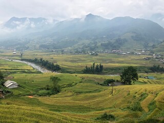 rice terraces in vietnam