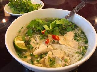 vietnamese traditional chiken noodle soup, pho