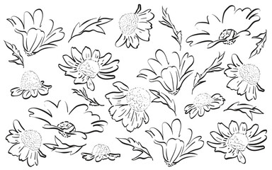 Abstract art background vector. minimal style wallpaper with black and white line art flower and botanical leaves, Organic shapes. Vector background for cover, wall art, invitation, fabric, poster, ca