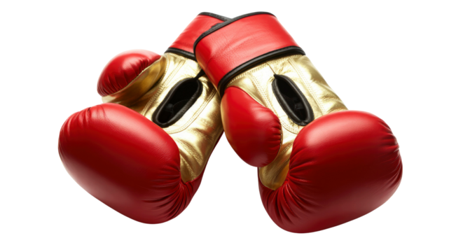 Red and Gold Boxing Gloves Ready for a Fight