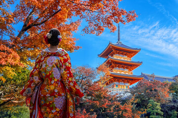 Japanese Woman in Traditional Kimono Dress at Kiyomizu-dera temple with beautiful foliage in autumn...