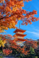 Keuken achterwand Kyoto Scenic view of Kiyomizu-dera temple with beautiful foliage in autumn in Kyoto, Japan  © coward_lion