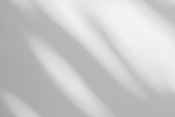 Wall interior background, studio and backdrops show products.with shadow from window color white and grey. background for text insertion and presentation product