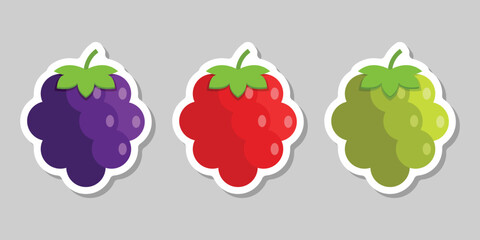 Grape, blueberry, raspberry sticker fruit icon set collection in flat style. Berry vector illustration on isolated background. Nature snack sign business concept.
