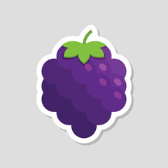 Blackberry fruit sticker icon in flat style. Grape berry vector illustration on isolated background. Nature snack sign business concept.