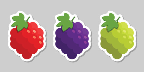 Grape, blueberry, raspberry sticker fruit icon set collection in flat style. Berry vector illustration on isolated background. Nature snack sign business concept.