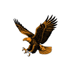 Aggressive Flying Eagle Vector – Detailed Predator Bird Illustration with Spread Wings and Sharp Talons

