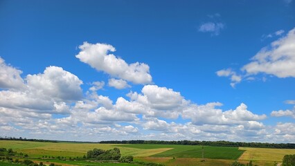 Obraz premium green field and blue sky