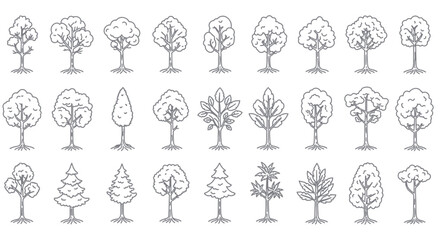 Collection of Different Tree Styles Vector Illustration in Outline Drawing Style