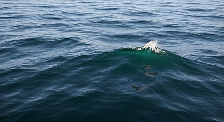 Naklejka premium Ocean Wave Breaking on Surface with Green and Blue Water