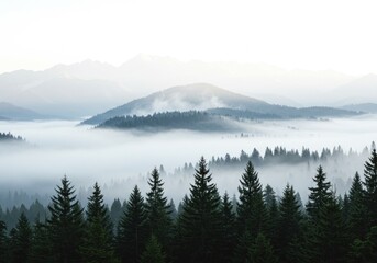 Misty mountains over forest landscape
