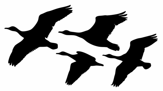 Silhouette depiction of a gaggle of geese gracefully soaring through the sky in a monochrome illustration | editable eps vectors